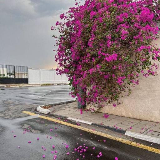 شعار Engineer Anas 